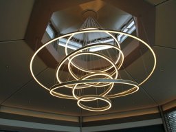 Zvieri im Restaurant Delphin